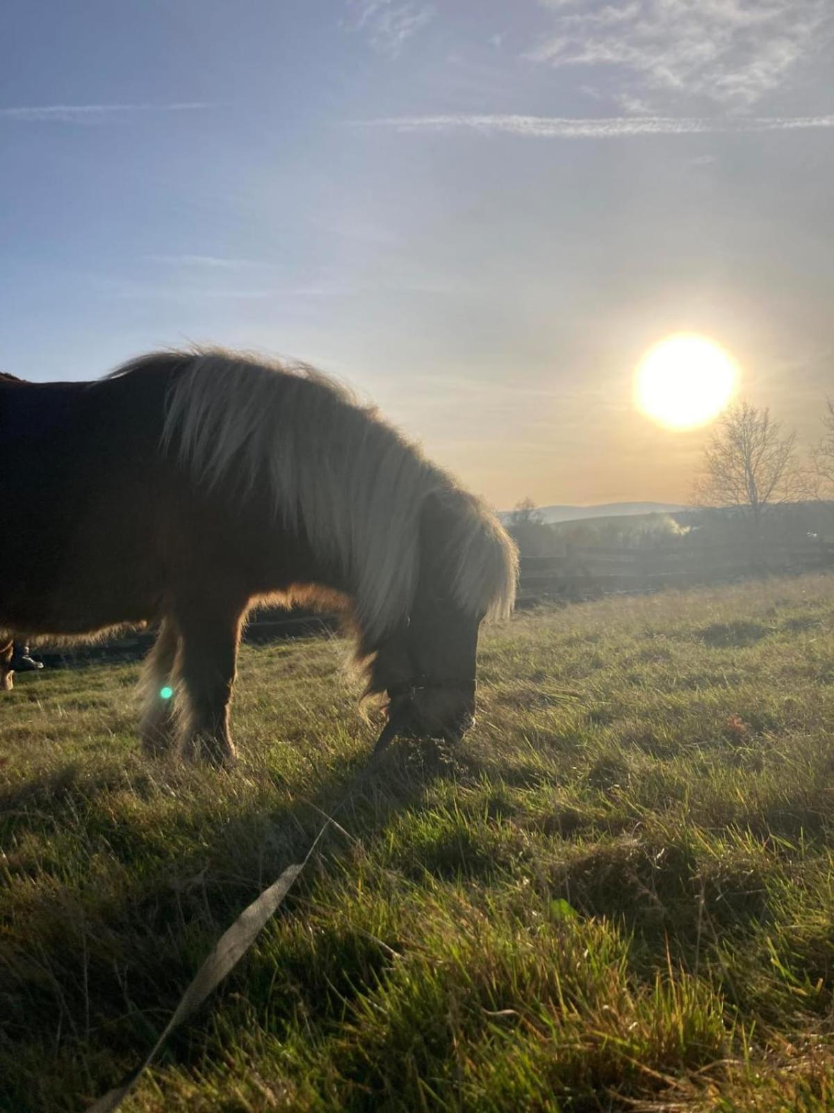 Na Uboczu Villa Gryfów Śląski Exteriör bild